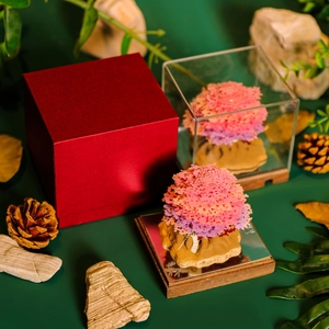 Detail of 3D paper sculpture cherry blossom tree with premium gift box and acrylic cover
