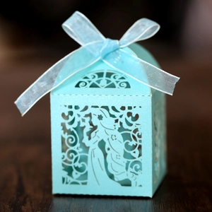 Détail de la silhouette de princesse découpée au laser sur boîte cadeau bleu clair