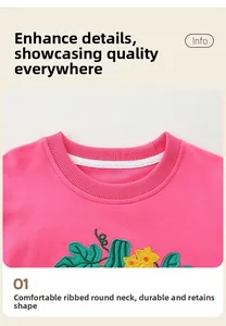 Detail of pink cotton sweatshirt with floral embroidery and ribbed crew neckline