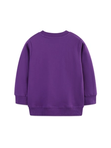 Classic purple long-sleeve sweatshirt for girls with ribbed cuffs and crew neck back view