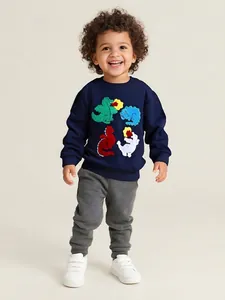 Boys Cartoon Dinosaur Towel Embroidery Sweatshirt Round Neck Cotton Long Sleeve Pullover Autumn Casual Children Top