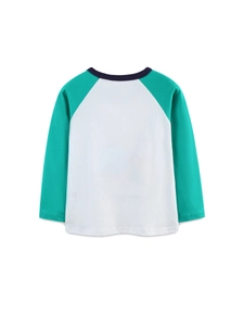 Fashionable boys' raglan long-sleeve T-shirt with green contrast sleeves and crew neck