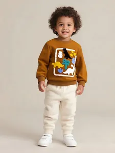 Boys Dinosaur Chenille Embroidery Sweatshirt Long Sleeve Cotton Pullover Round Neck Autumn Casual Sports Top