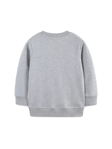 Back view of boys grey cotton sweatshirt with ribbed cuffs and classic round neck design