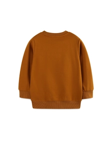 Back view of a caramel cotton sweatshirt for boys featuring ribbed cuffs and neckline