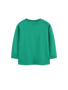 Green long sleeve dinosaur print cotton t-shirt for boys shown from back view