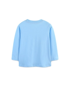 Back view of light blue long sleeve dinosaur print sweatshirt for toddler boys