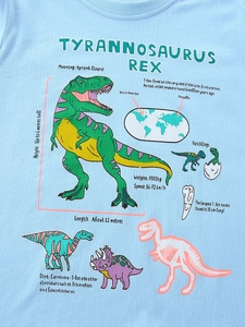 Light blue kids long sleeve t-shirt featuring educational dinosaur print with T-Rex data