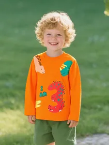 Kids Boys Cotton Long Sleeve T-Shirt Cartoon Dinosaur Print Round Neck Casual Birthday Commemorative Top Pullover Autumn