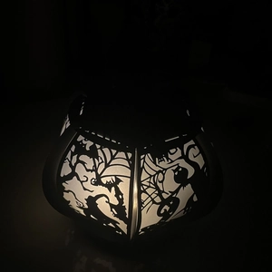 Detail of Halloween paper lantern featuring intricate cutout owl and bat patterns