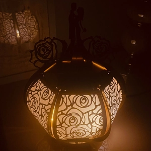 Detail of hollow rose pattern on paper lantern with romantic couple silhouette and warm light