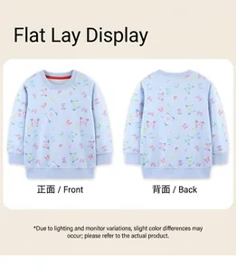 Vista anteriore e posteriore della felpa azzurra da bambina con stampe di farfalle colorate
