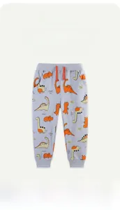 Detail view of boys' grey cotton joggers featuring orange dinosaur prints and ribbed cuffs