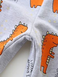 Gray boys' jogger pants featuring orange dinosaur print and I RAWR YOU embroidery details