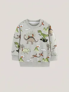Boys gray long sleeve sweatshirt featuring cartoon dinosaur print and ribbed crew neck