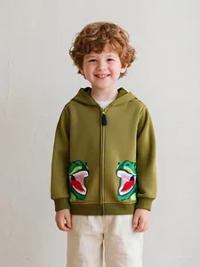 Veste à Capuche Zippée Décontractée en Mélange de Coton pour Petits Garçons Avec Broderie de Dinosaure Poignets Côtelés Cardigan Manches Longues