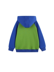 Sweat à capuche d'automne pour enfant avec design color-block bleu et vert et poignets
