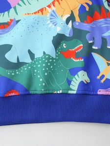 Kids dinosaur print sweatshirt with ribbed hem and high-quality cartoon graphics