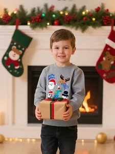 Kids Toddler Christmas Sweatshirt Embroidered Santa Reindeer Penguin Pattern Grey Long Sleeve Cotton Crew Neck Pullover Top