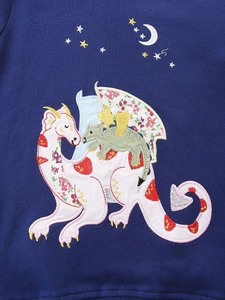 Navy blue girls' dinosaur sweatshirt with floral embroidery and patch detailing