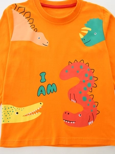 Orange long sleeve toddler t-shirt with I AM 3 dinosaur print and crew neck detail