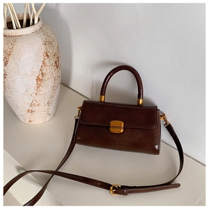 Detail der dunkelbraunen Glanzlederhandtasche mit Goldschnalle und Schultergurt