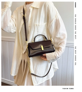 Detail of dark brown matte leather handbag featuring gold clasp and chain strap