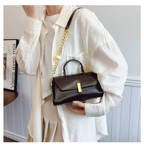 Detail of dark chocolate handbag with gold rectangular clasp and chic chain strap
