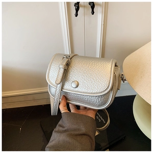 Detail of silver litchi grain small square bag with flap closure and adjustable strap