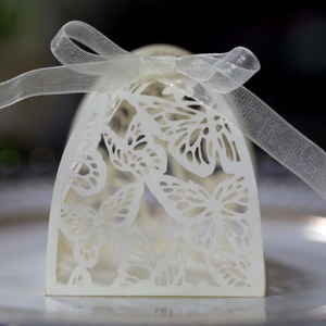 Detailed laser-cut hollow butterfly pattern and organza ribbon on ivory gift box