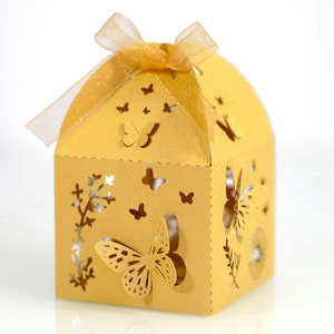 Detail of laser-cut butterfly pattern on golden pearlescent house-shaped gift box