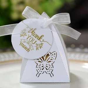 Macro shot of pyramid-shaped white gift box with hollow butterfly design and ribbon