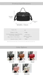 Detailed view of the small square bag showing lychee grain PU texture and dimension specs