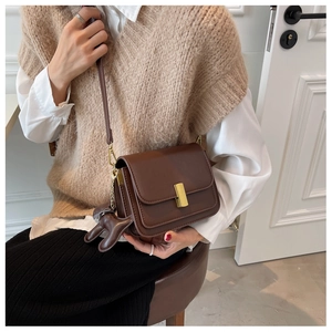Brown retro leather square bag with golden buckle and cute dog charm shown on a model