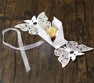 Macro view of white laser-cut butterfly candy box with hollow rose flower patterns