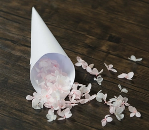 Macro detail of soft dried petals flowing from a white paper confetti cone on wood