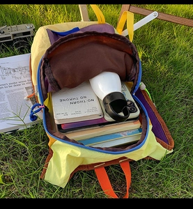 Internal view of the spacious multi-color travel backpack holding books and water bottle