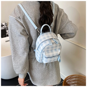 Mini gingham backpack in blue and white with silver zippers shown on person's back