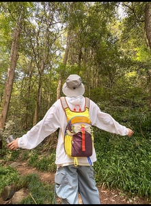 Vue arrière du sac à dos de randonnée multicolore sur un sentier de forêt