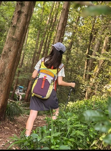 Gros plan d'un sac à dos de randonnée avec attaches pour bâtons dans une forêt pittoresque