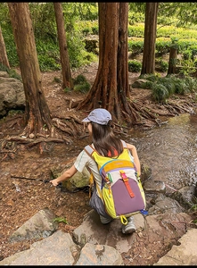 Sac à dos de randonnée avec blocs de couleurs et boucle réglable en scène de forêt