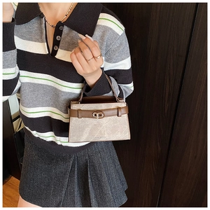 Fashionable mini bucket bag with marble pattern and golden twist lock worn by a model