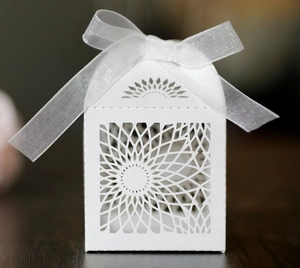 Detail of laser-cut geometric patterns and white ribbon on house-shaped gift box