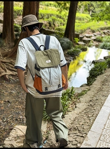 Detailed back view of a color-block nylon backpack worn in a natural park setting