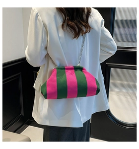 Dettaglio della borsa a righe verdi e rosa con catena d'argento su blazer bianco