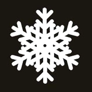 Macro detail of laser-cut white snowflake place card made of premium pearlescent paper