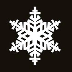 Detailed laser-cut white snowflake place card with intricate geometric patterns on black background
