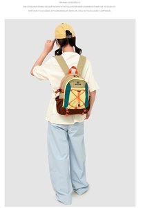 Detailed back view of outdoor backpack featuring multi-color panels and bungee cord system