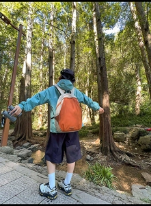 Close-up of hiking backpack in orange and beige with adjustable straps in forest