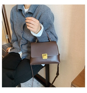Detailed close-up of dark coffee leather texture and golden metal buckle on square bag